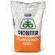 Насіння соняшнику Pioneer P64LE185 ExpressSun &mdash; 1 п.о. PIONEER-P64LE185 фото 1