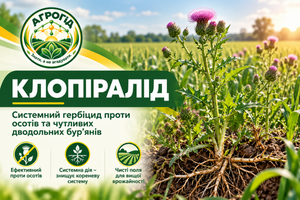 Клопіралід: дія на осоти, корені, післядія та сівозміна фото