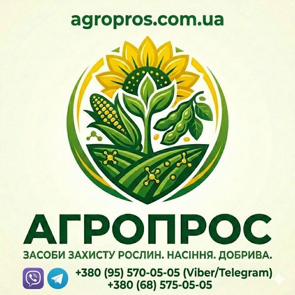 Гибрид подсолнечника НК Неома (февраль 2026 г.), Clearfield, Евро-Лайтнинг - Syngenta 3014685098 фото