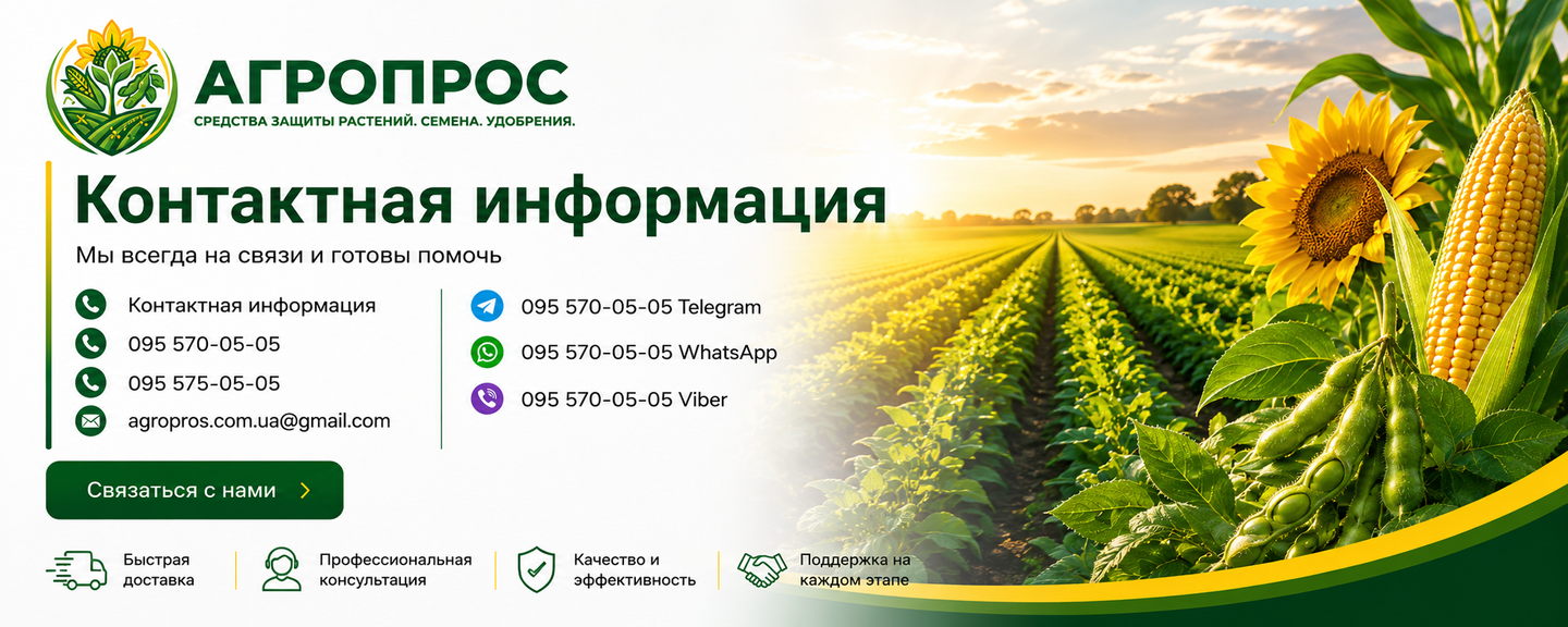 Banner from design