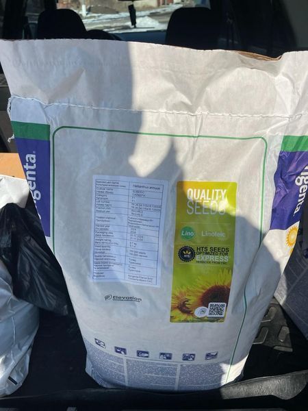 Гибрид подсолнечника Сайберик HTS, под гранстар, Экспресс, среднестилый - Syngenta 2976177627 фото