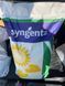 Гибрид подсолнечника Сайберик HTS, под гранстар, Экспресс, среднестилый - Syngenta 2976177627 фото 2