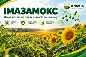Імазамокс: механізм дії, технології соняшнику, вовчок і резистентність бур'янів фото