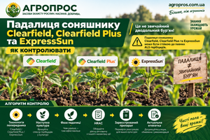 Падалица подсолнечника Clearfield, ExpressSun и A.I.R.: как контролировать фото