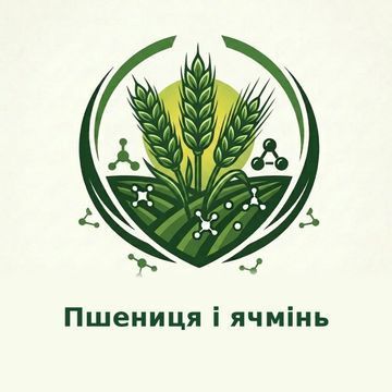 Семена пшеницы и ячменя