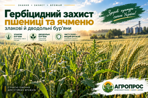 Гербицидная защита пшеницы и ячменя: злаковые и двудольные сорняки фото