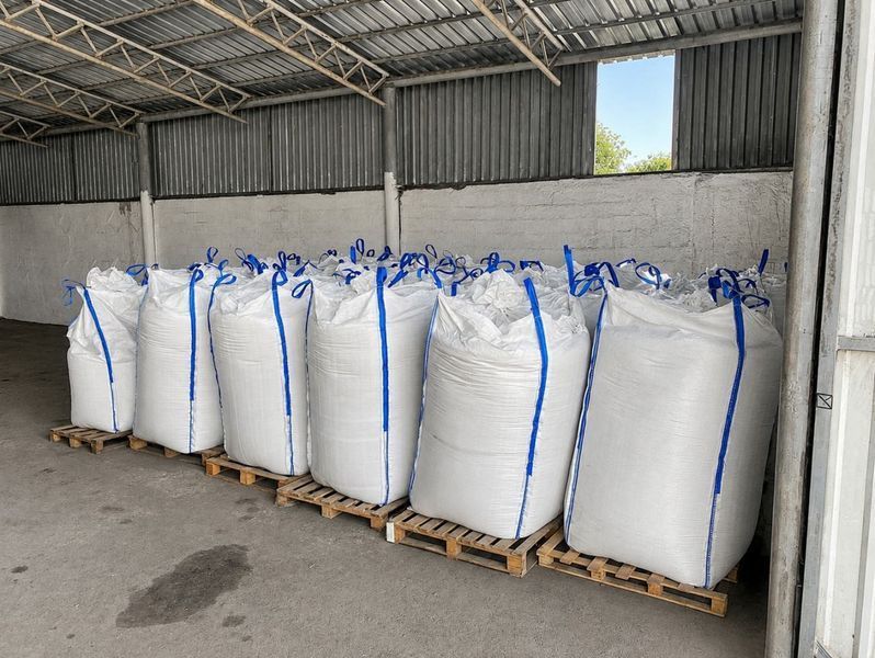Пшеница озимая Пани Оля, первая репродукция (СН1) &mdash; экстрасильный сорт (ОСПИ) 456322 фото