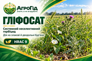 Гліфосат: як він діє, чому бур'ян іноді відростає і як не помилитися з препаратом фото