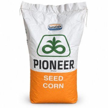 Насіння кукурудзи Pioneer P9255 AQ, ФАО 330 &mdash; 1 п.о. PIONEER-P9255 фото