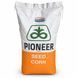 Насіння кукурудзи Pioneer P9255 AQ, ФАО 330 &mdash; 1 п.о. PIONEER-P9255 фото 1