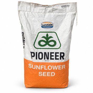 Насіння соняшнику Pioneer P64LL264 &mdash; 1 п.о. PIONEER-P64LL264 фото