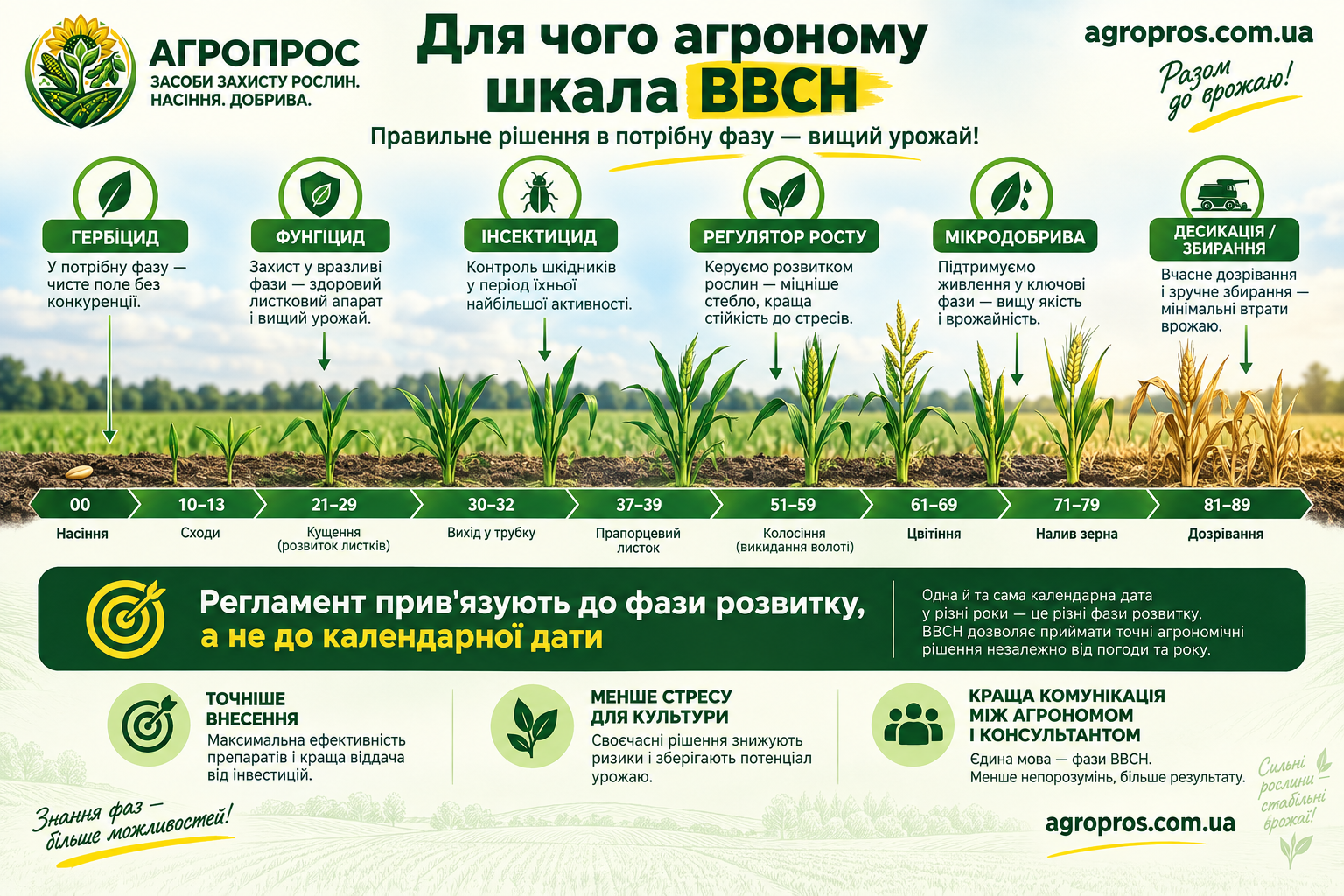 Для чего агроному шкала BBCH