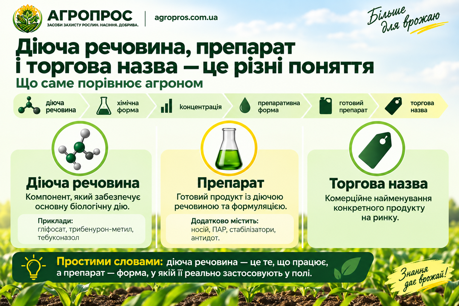 Действующее вещество, препарат и торговое название — разные понятия