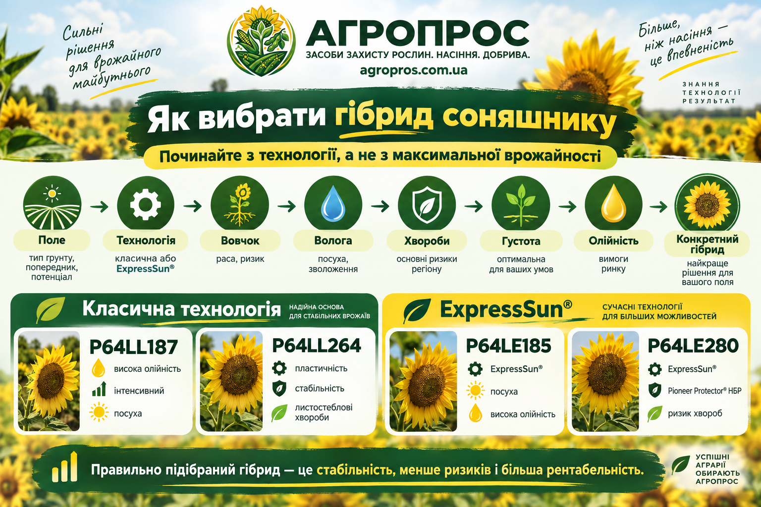 Как выбрать гибрид подсолнечника — алгоритм AgroPros