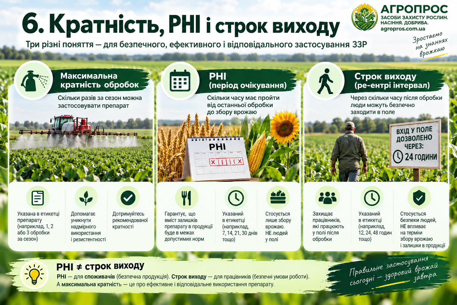 Кратность, PHI и срок выхода