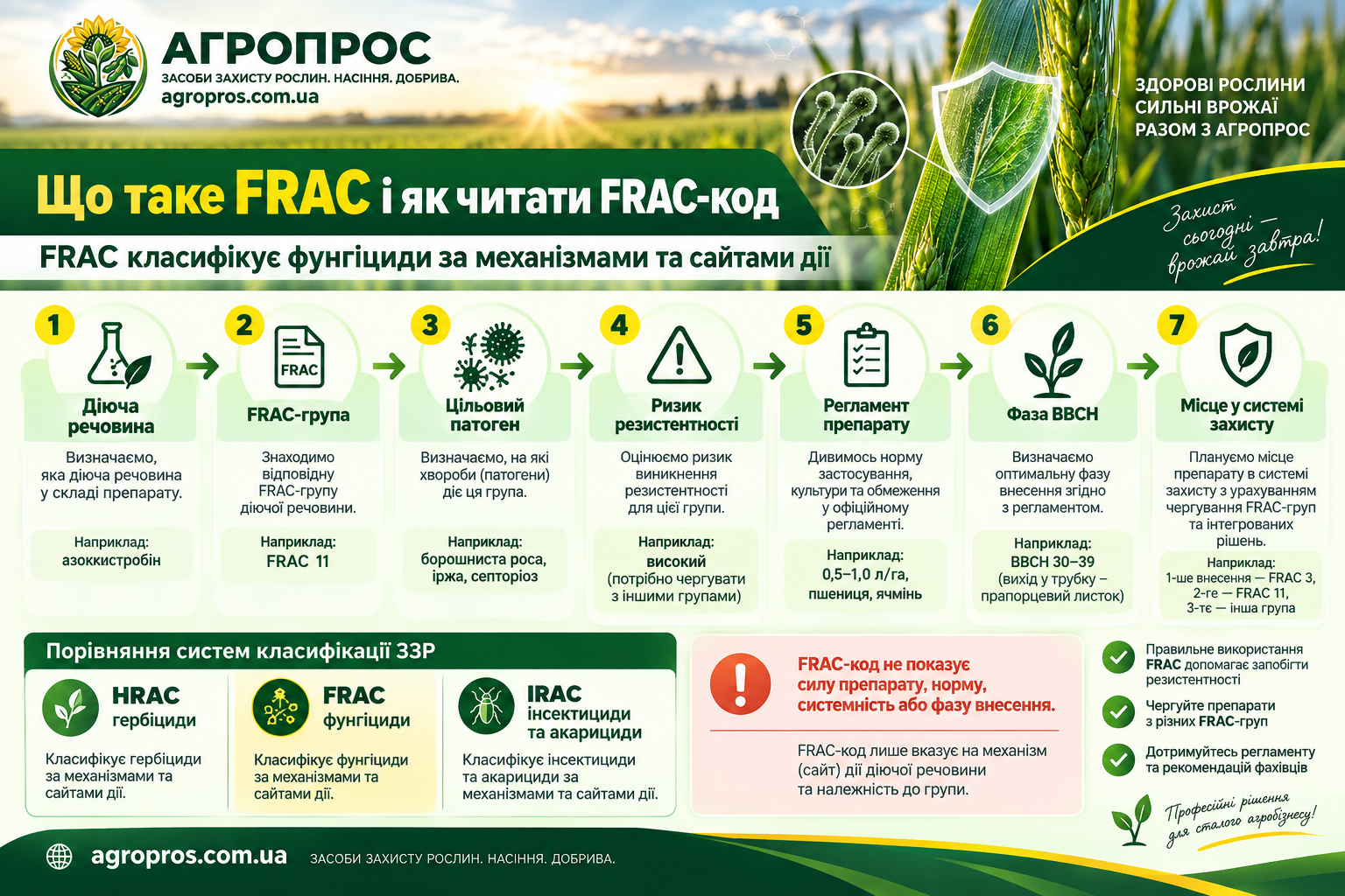 Що таке FRAC і як читати FRAC-код