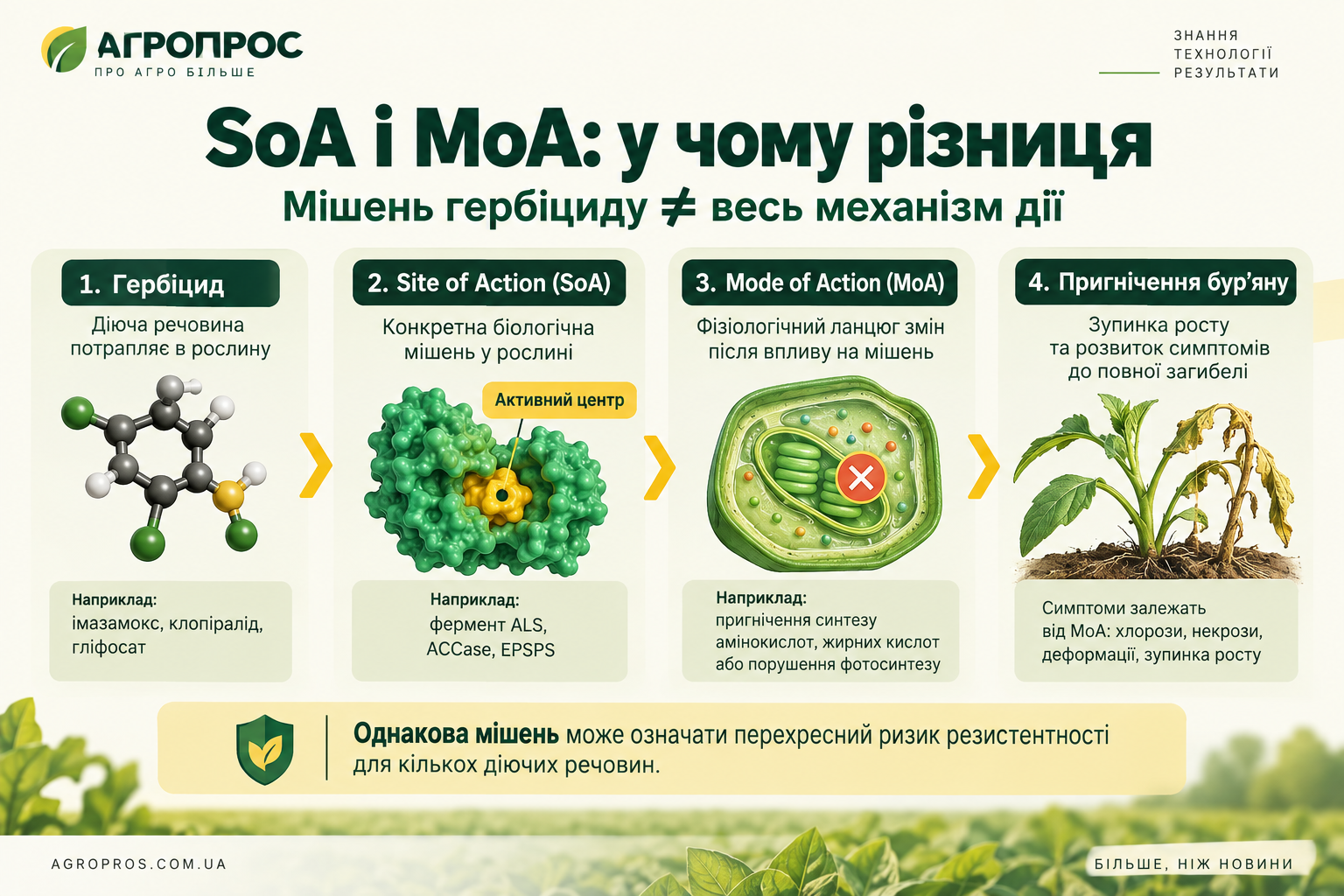 соа і моа різниця