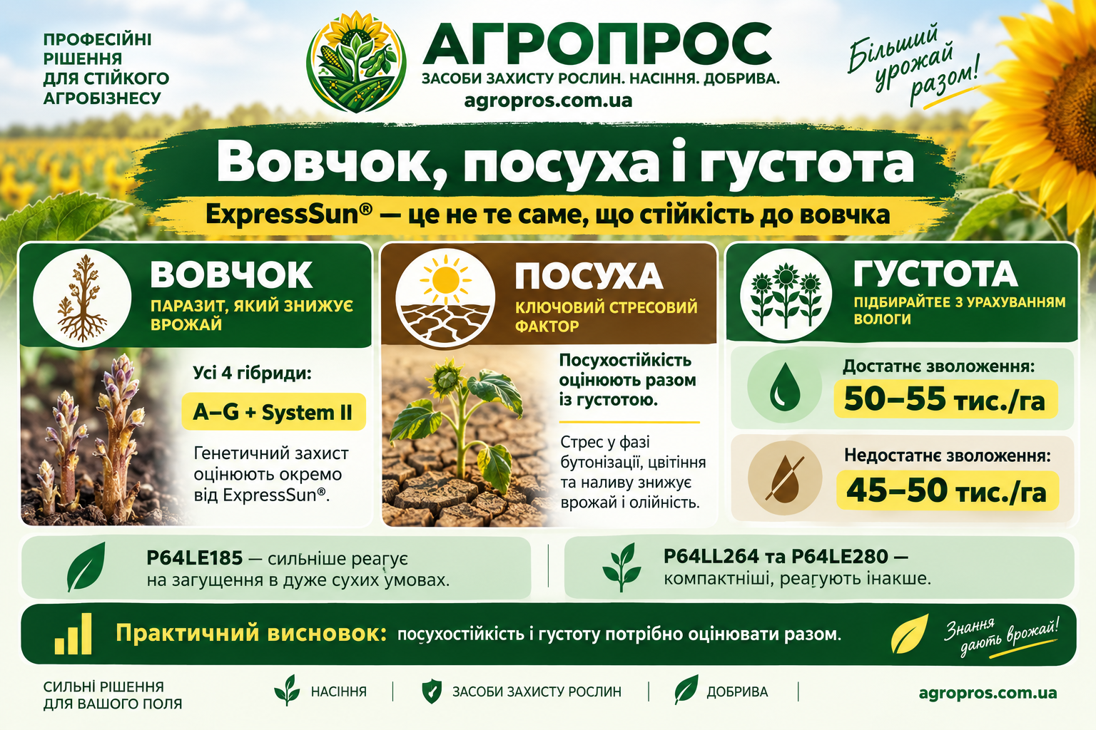 Заразиха, засуха и густота как критерии выбора гибрида подсолнечника